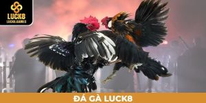 Đá gà Luck8